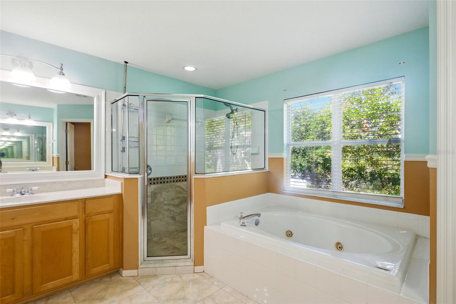 Image 18 of 25 For 7310 Brightwater Oaks Drive