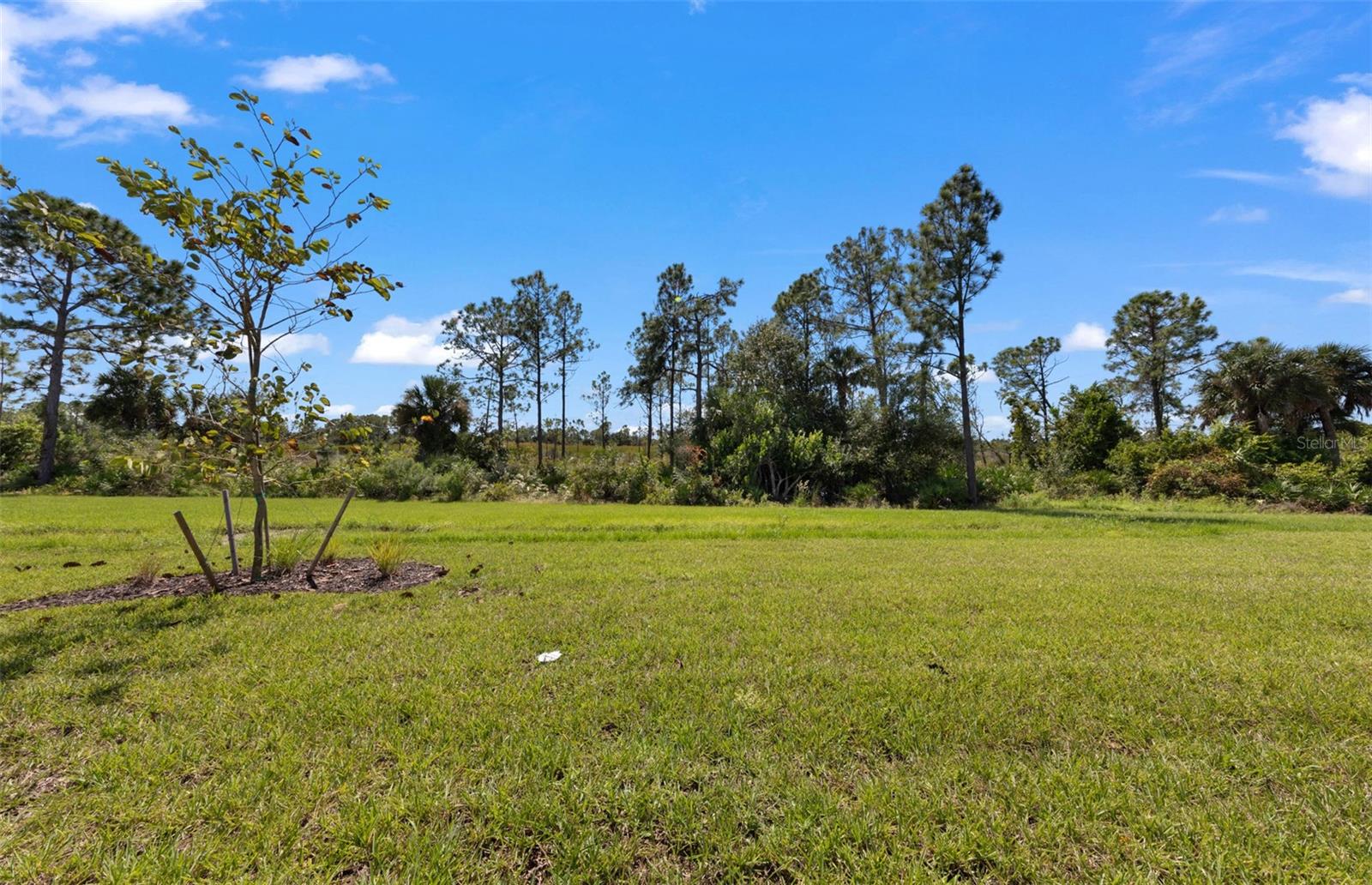 Image 40 of 43 For 1797 Pepper Grass Drive