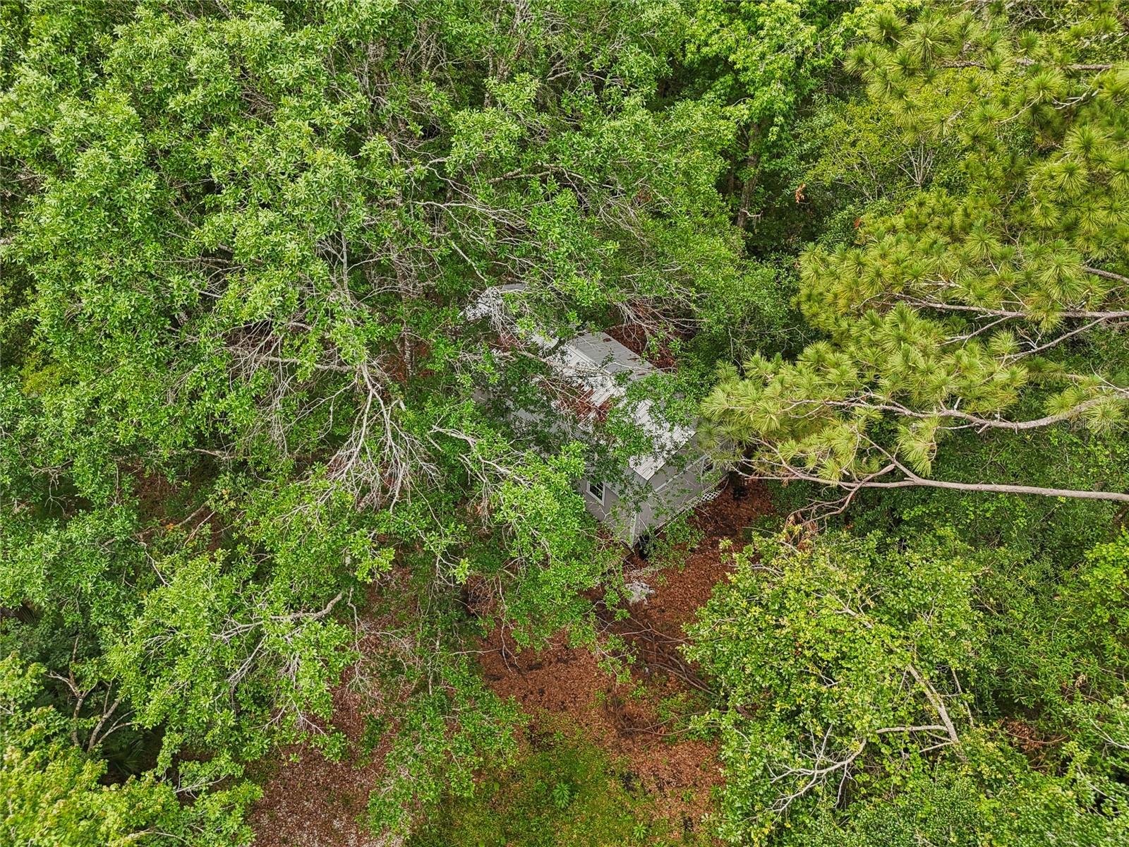 Image 35 of 63 For 22271 Chenoak Road