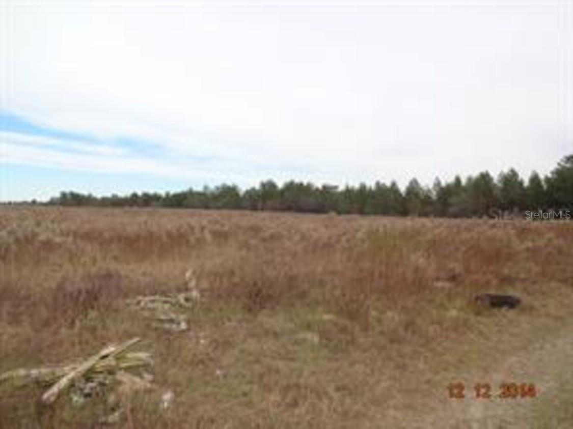Details for 17520 County Line Road, SPRING HILL, FL 34610