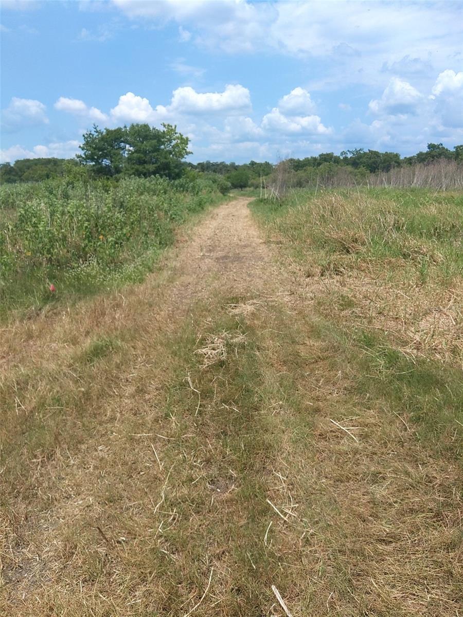 Image 6 of 15 For 2730 Withlacoochee Point