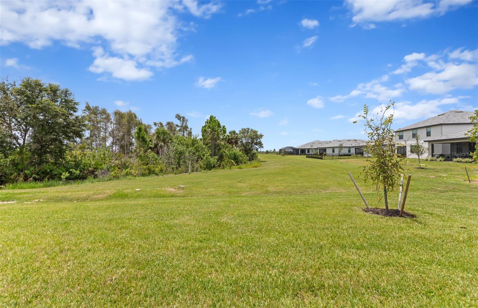 Image 34 of 47 For 17116 Moonflower Drive