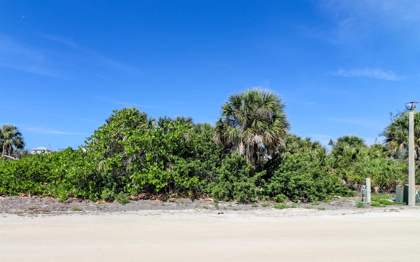 Image 6 of 26 For 6170 Rum Cove Drive