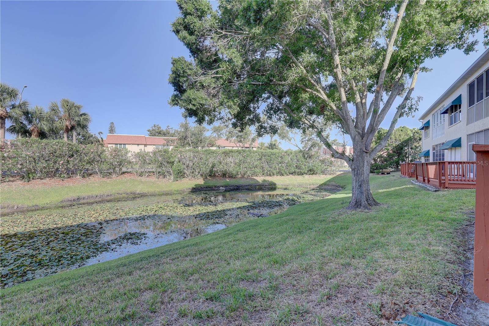 Image 36 of 45 For 6330 99th Way N 14f