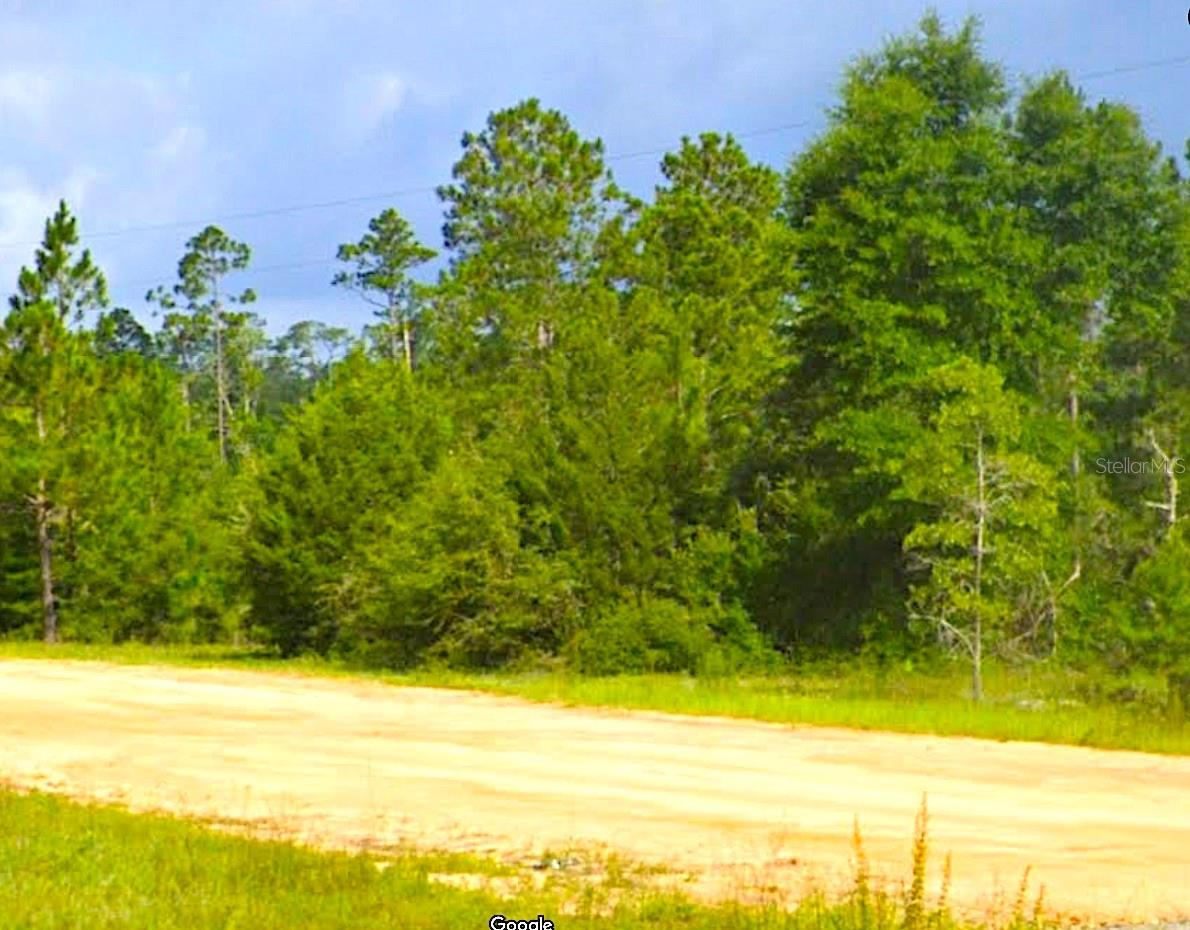 Details for Cleveland Drive, ALFORD, FL 32420