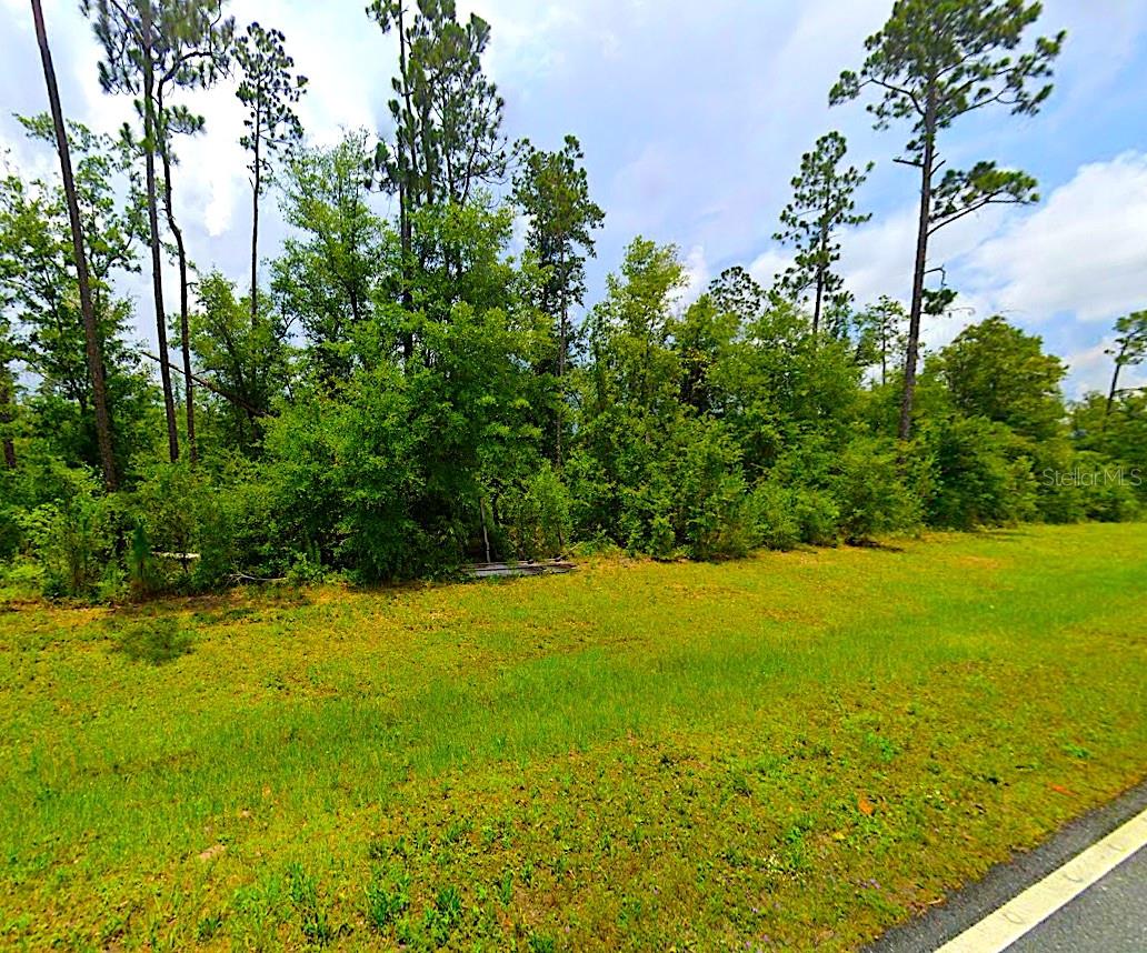 Details for Fairview Road, ALFORD, FL 32420