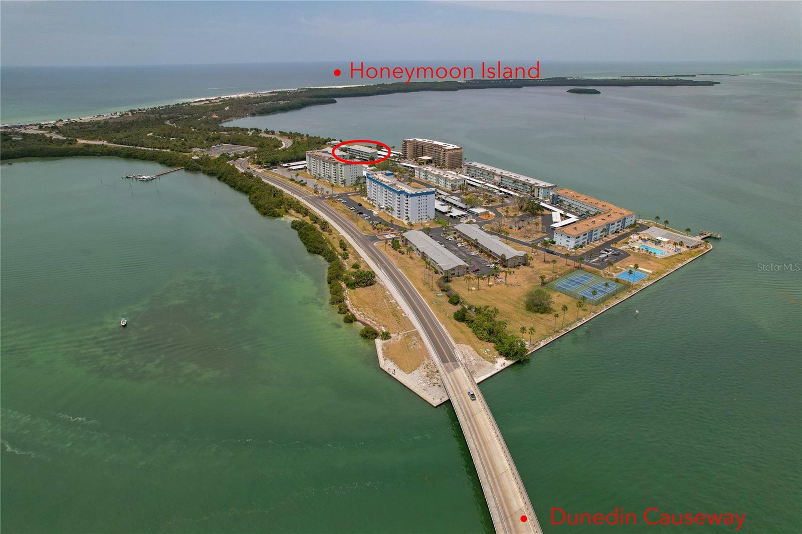 Details for 7 Island Park Place 204, DUNEDIN, FL 34698