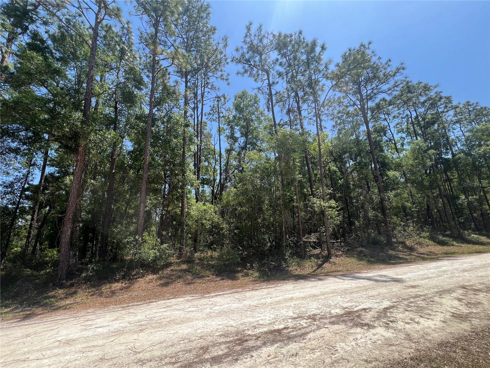 Details for Octavia Lane, WEBSTER, FL 33597