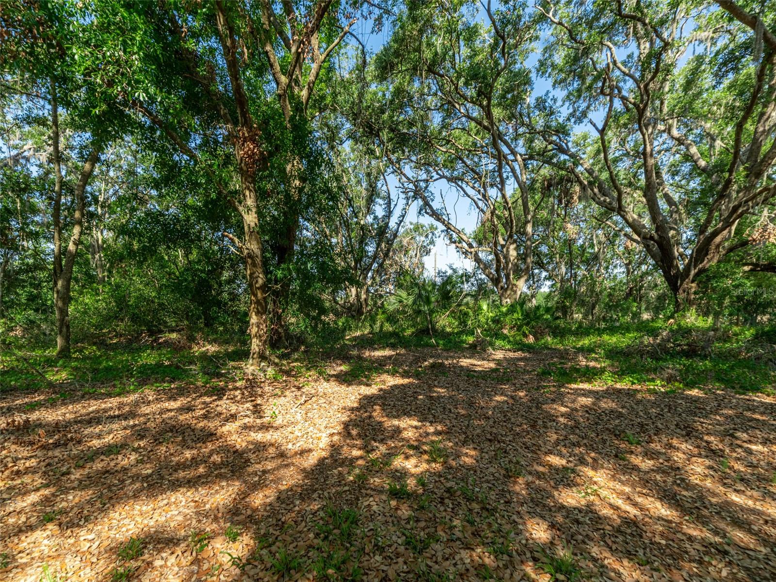 Image 22 of 29 For 6702 Brookridge Trail