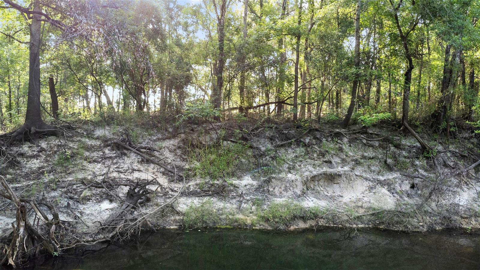 Image 11 of 21 For 0 Riderwood Drive