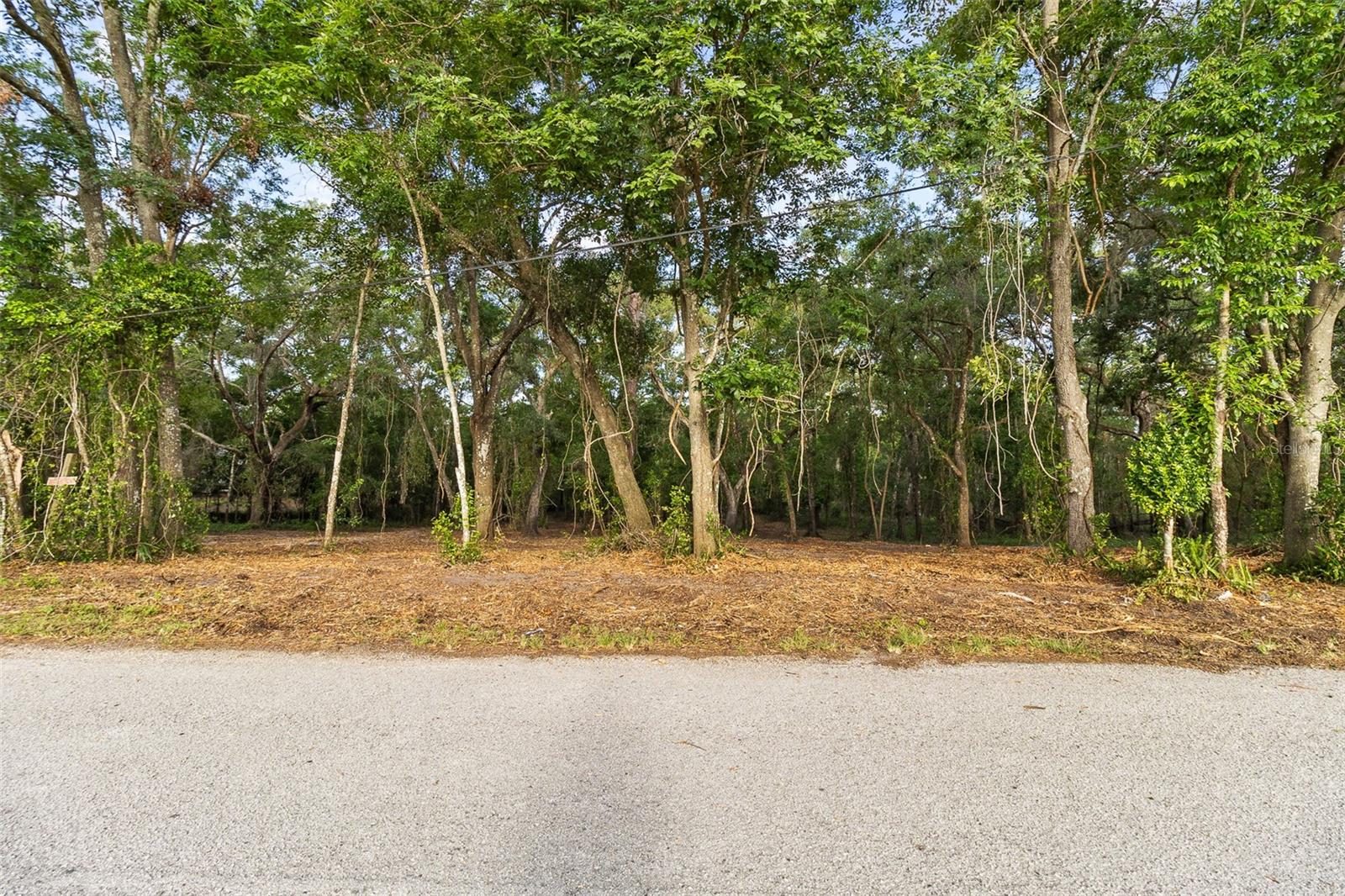 Image 5 of 21 For 0 Riderwood Drive