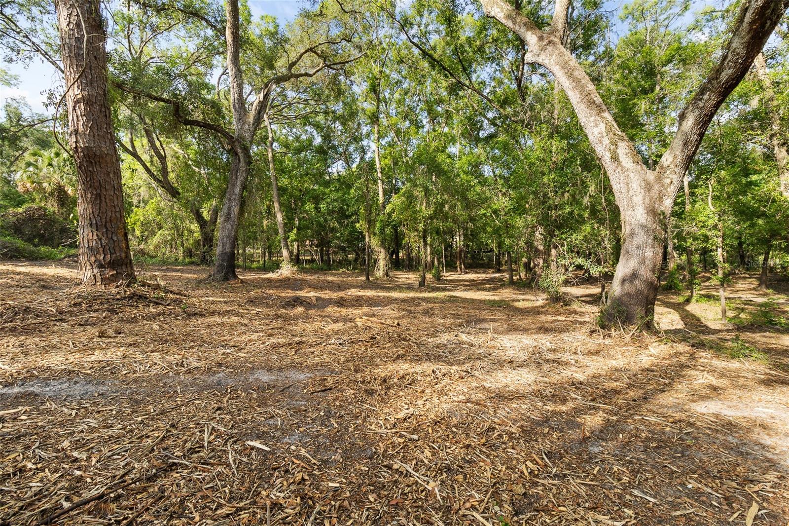 Image 6 of 21 For 0 Riderwood Drive