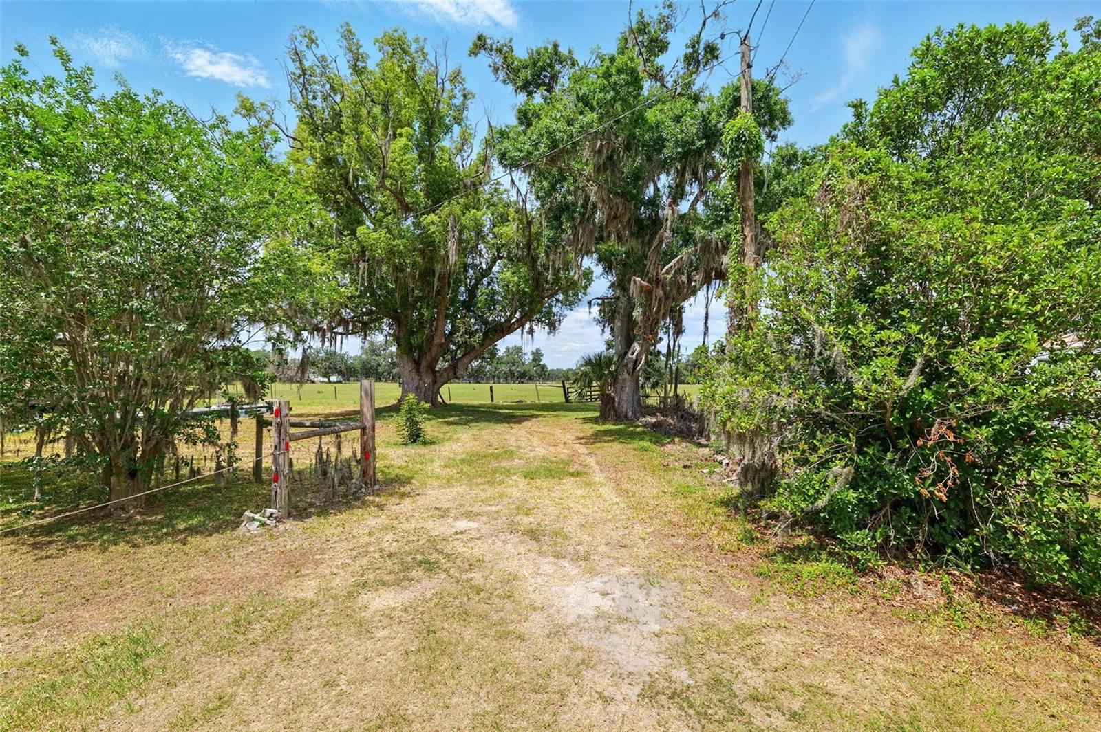 Image 6 of 61 For 3535 And 3511 Keysville Road