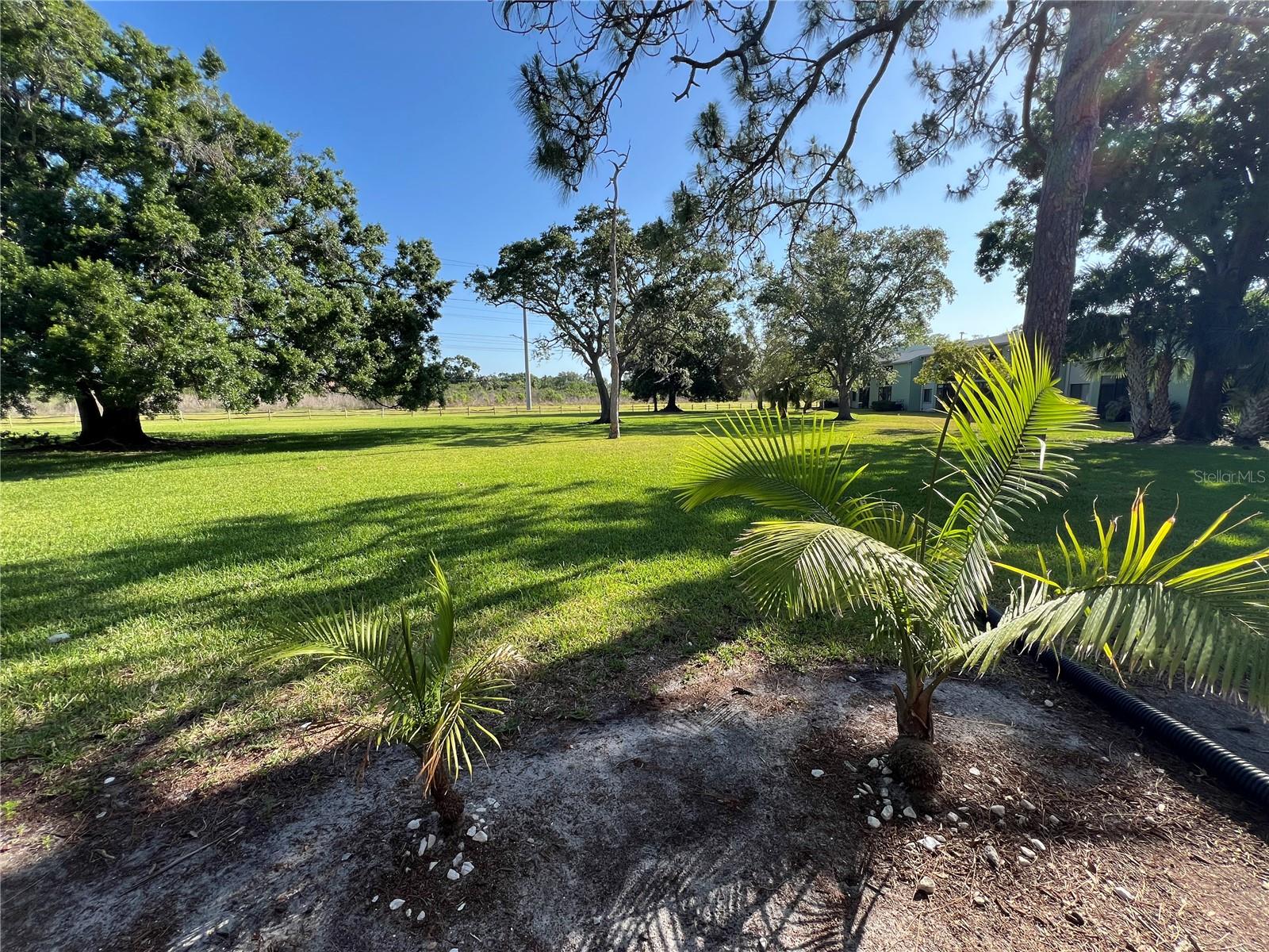 Image 5 of 26 For 229 Mary Drive 229