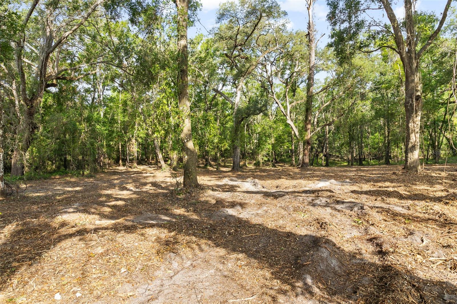 Image 11 of 20 For 00 Riderwood Drive