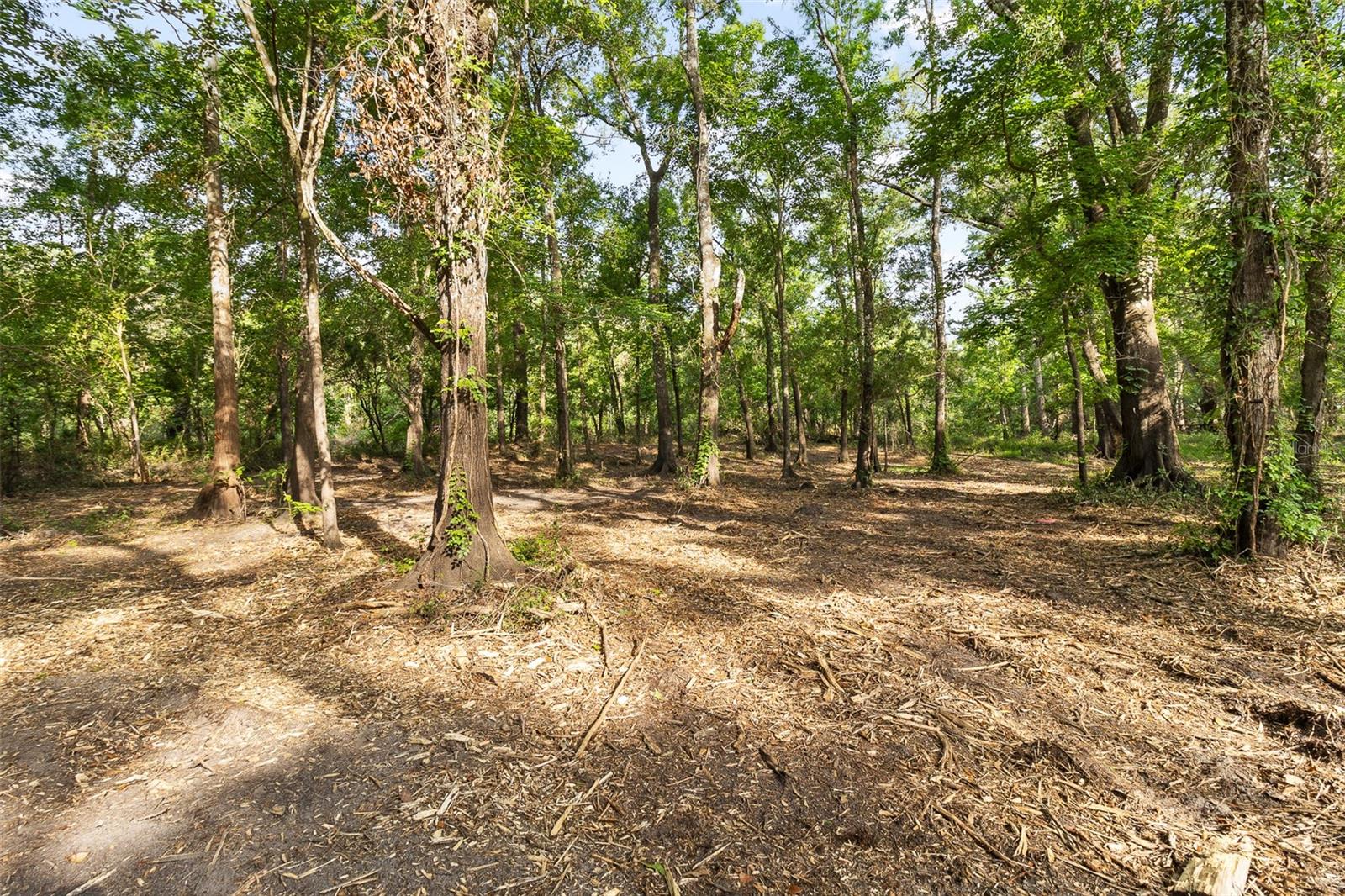 Image 12 of 20 For 00 Riderwood Drive