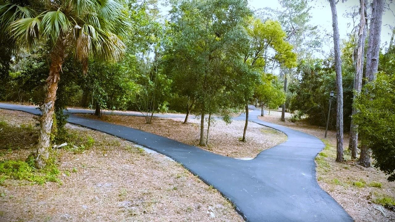 Image 53 of 70 For 915 Rolling Hills Drive