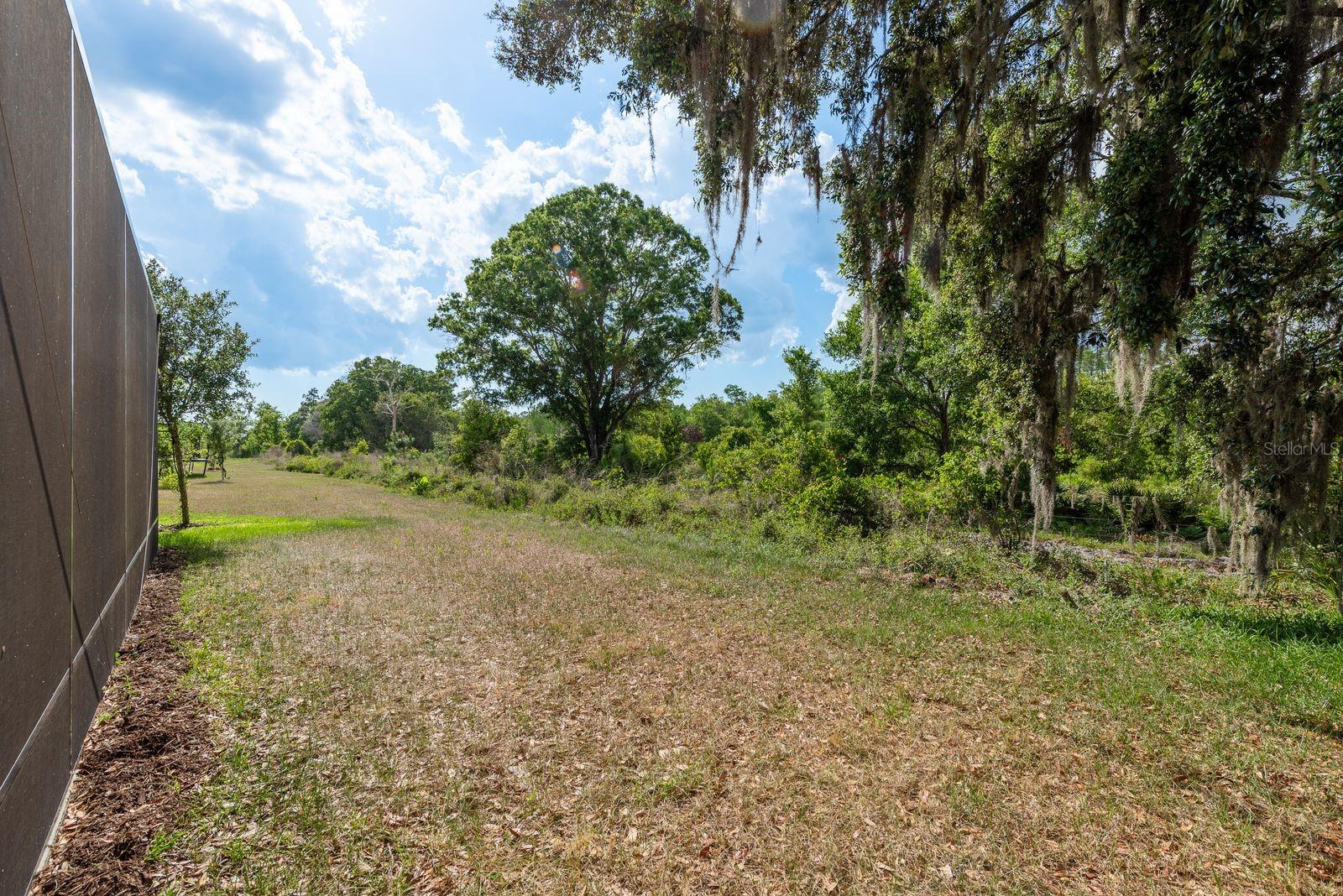 Image 48 of 72 For 21590 Violet Periwinkle Drive