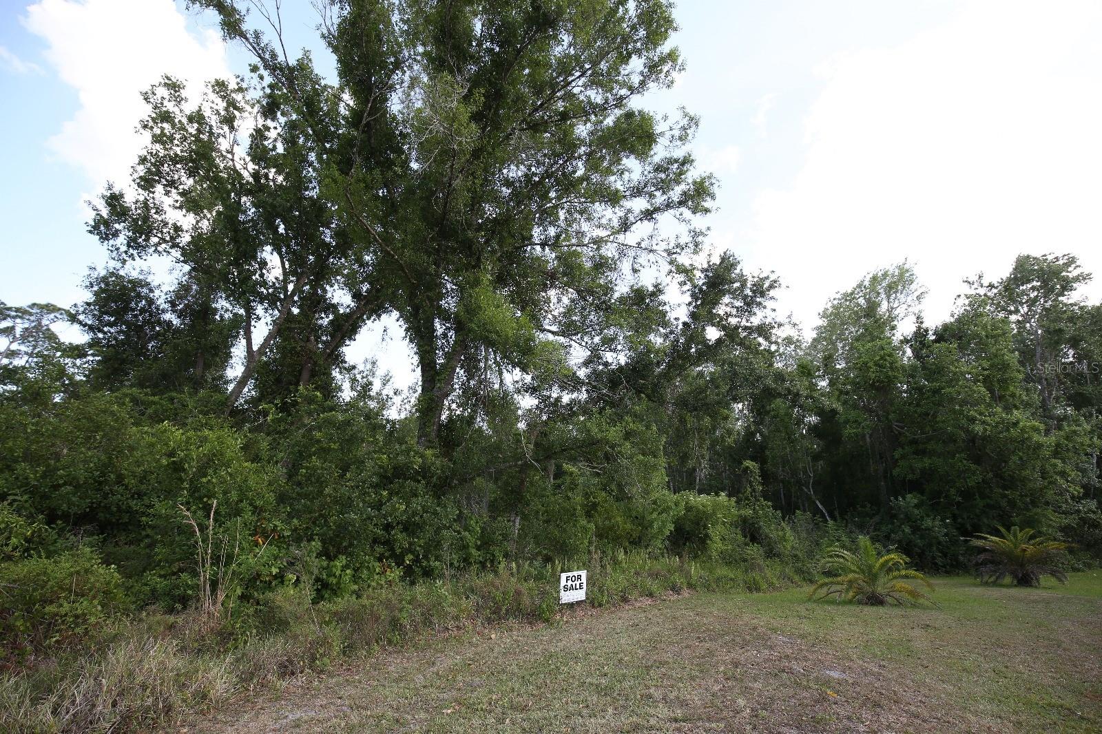 Image 11 of 13 For  Libby Drive 