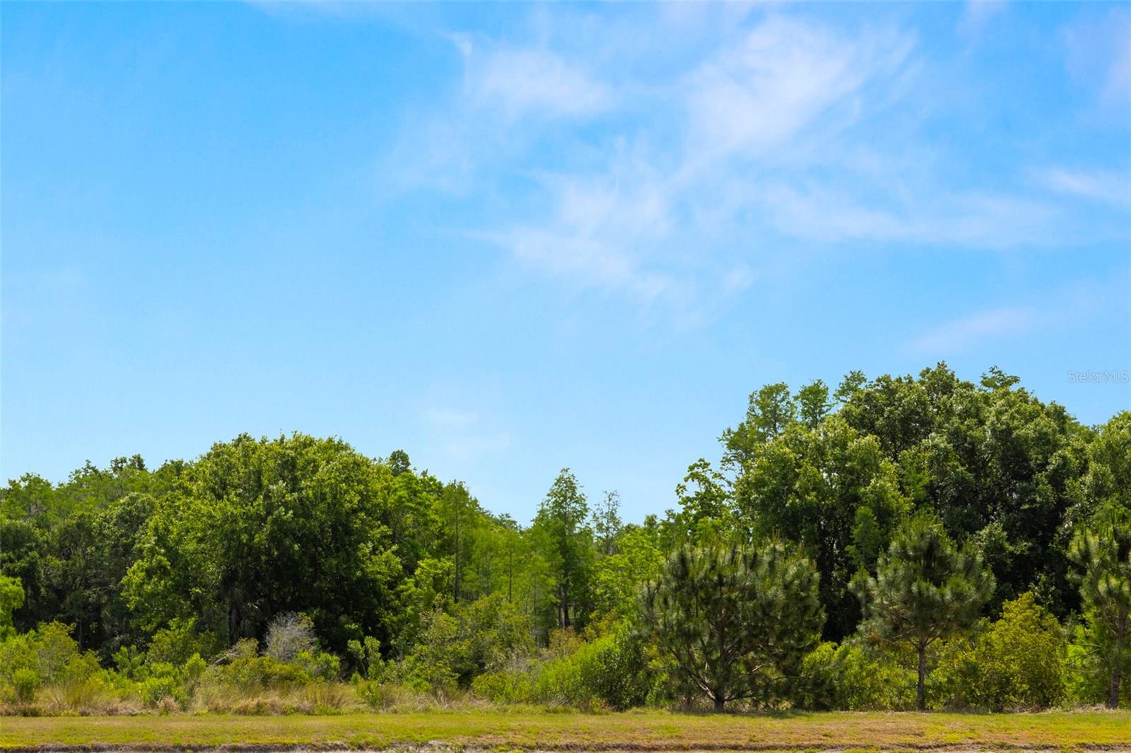 Listing photo id 50 for 4220 Barletta Court