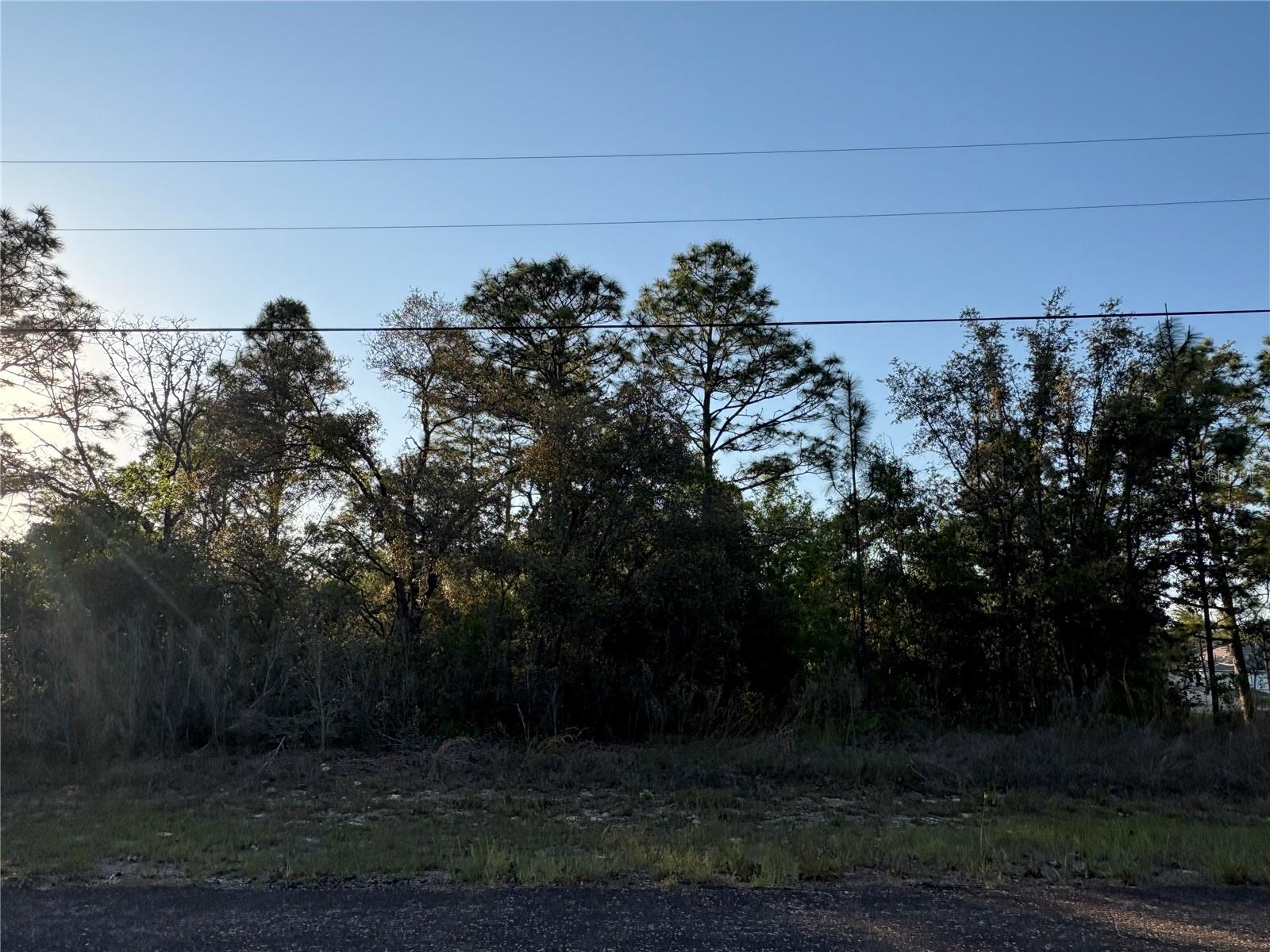 Image 2 of 6 For 9172 Marcus Way
