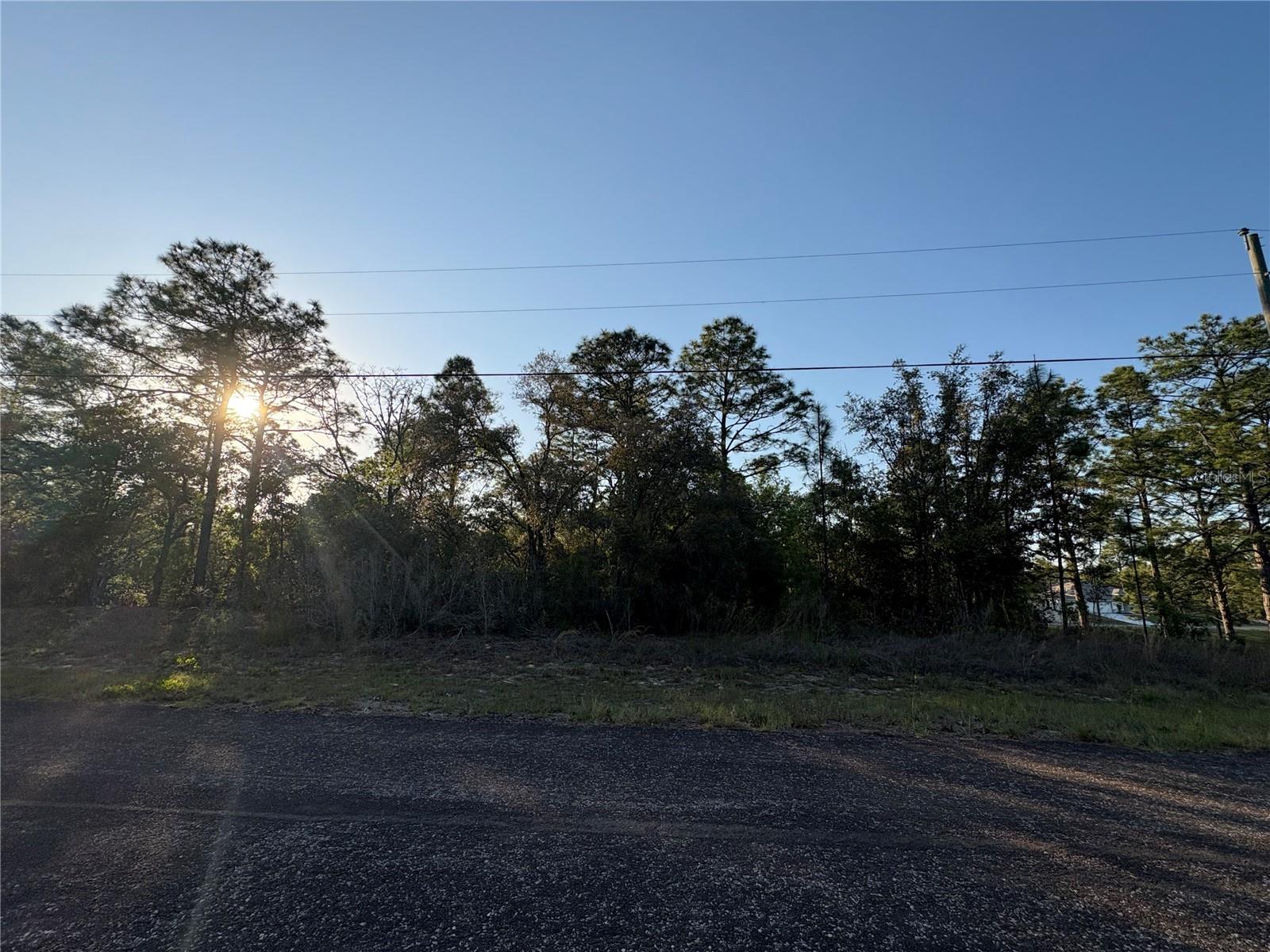 Image 5 of 6 For 9172 Marcus Way