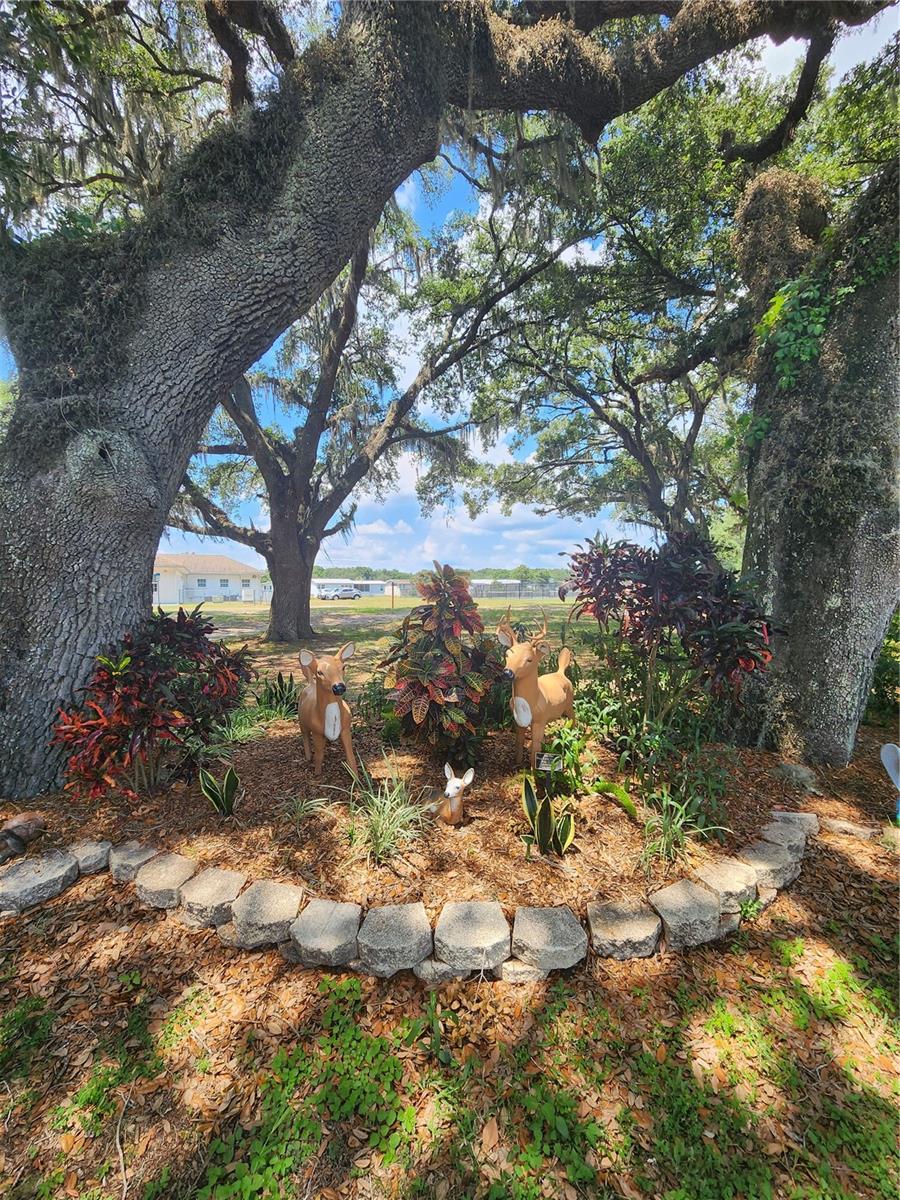 Image 70 of 76 For 5446 Joyce Street