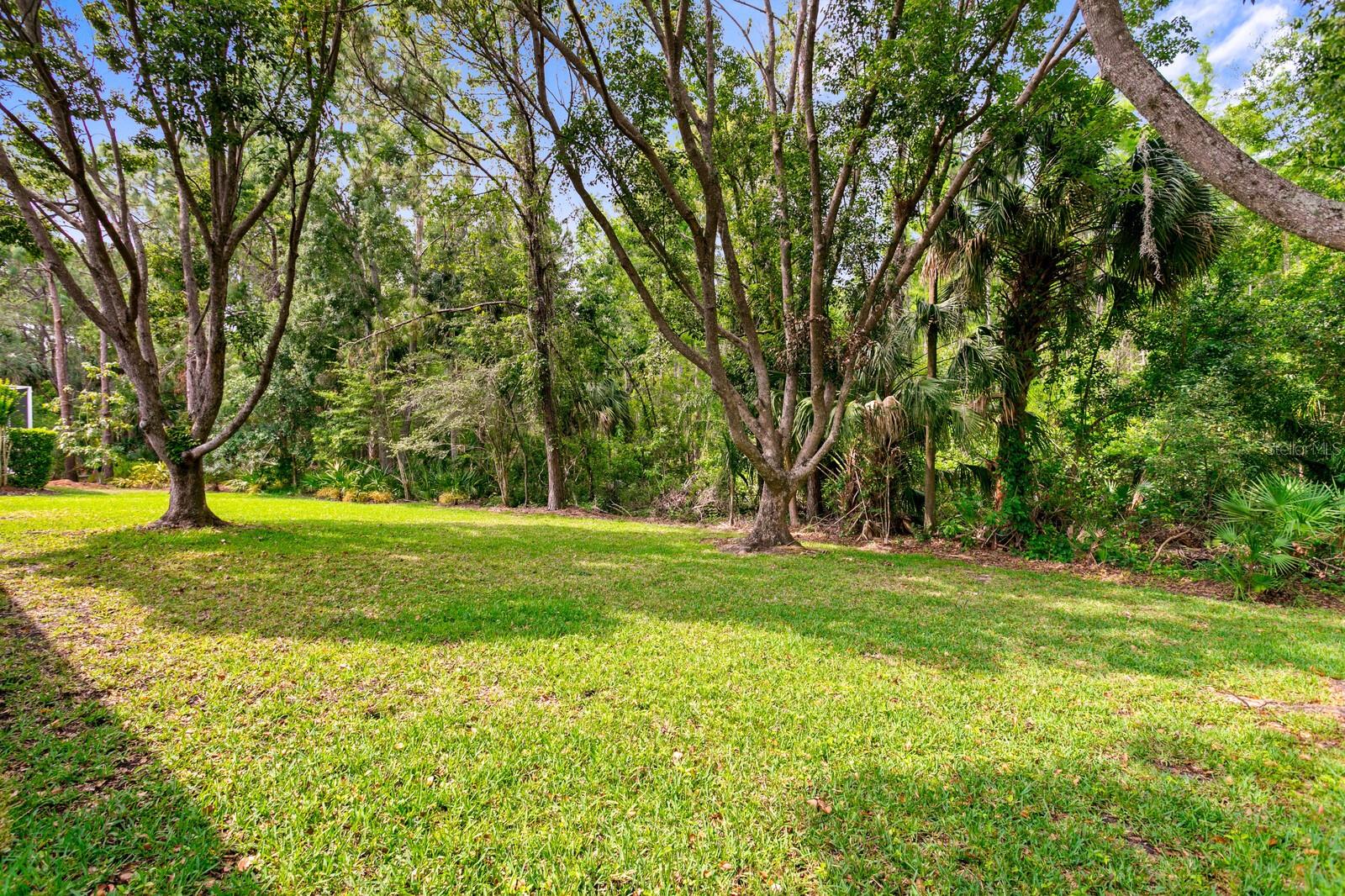 Listing photo id 47 for 19207 Autumn Woods Avenue