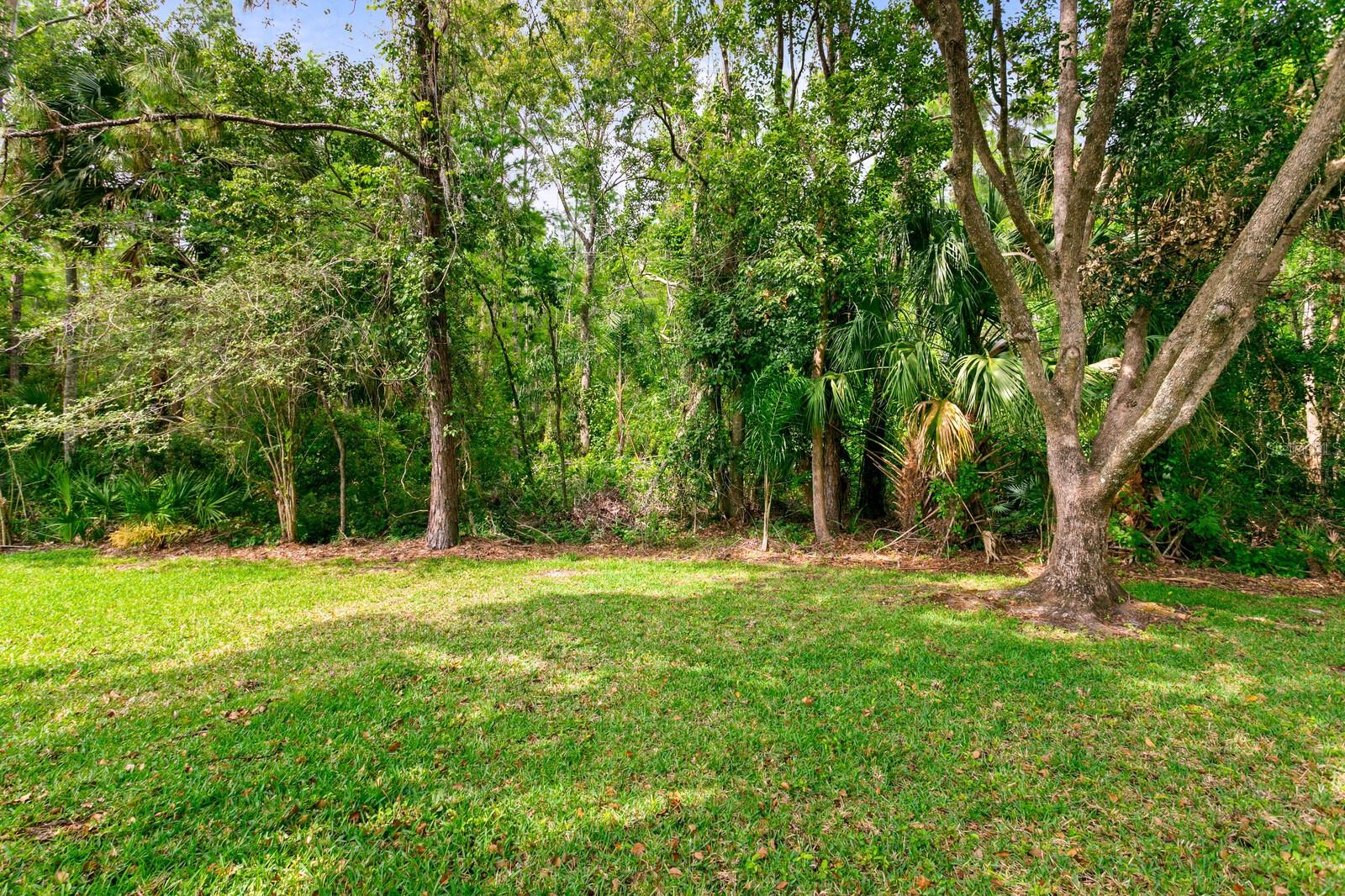 Listing photo id 49 for 19207 Autumn Woods Avenue