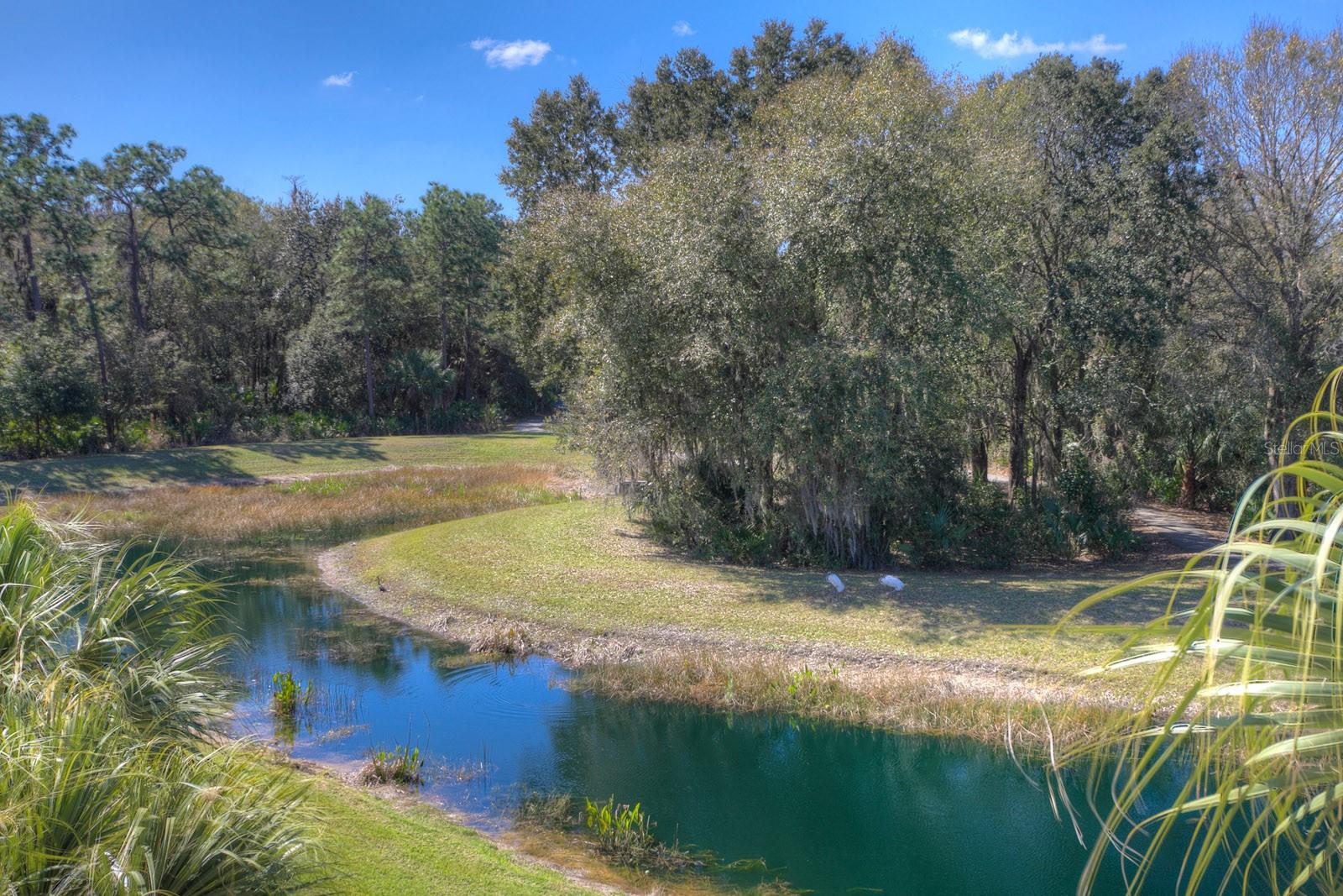 Listing photo id 66 for 19207 Autumn Woods Avenue