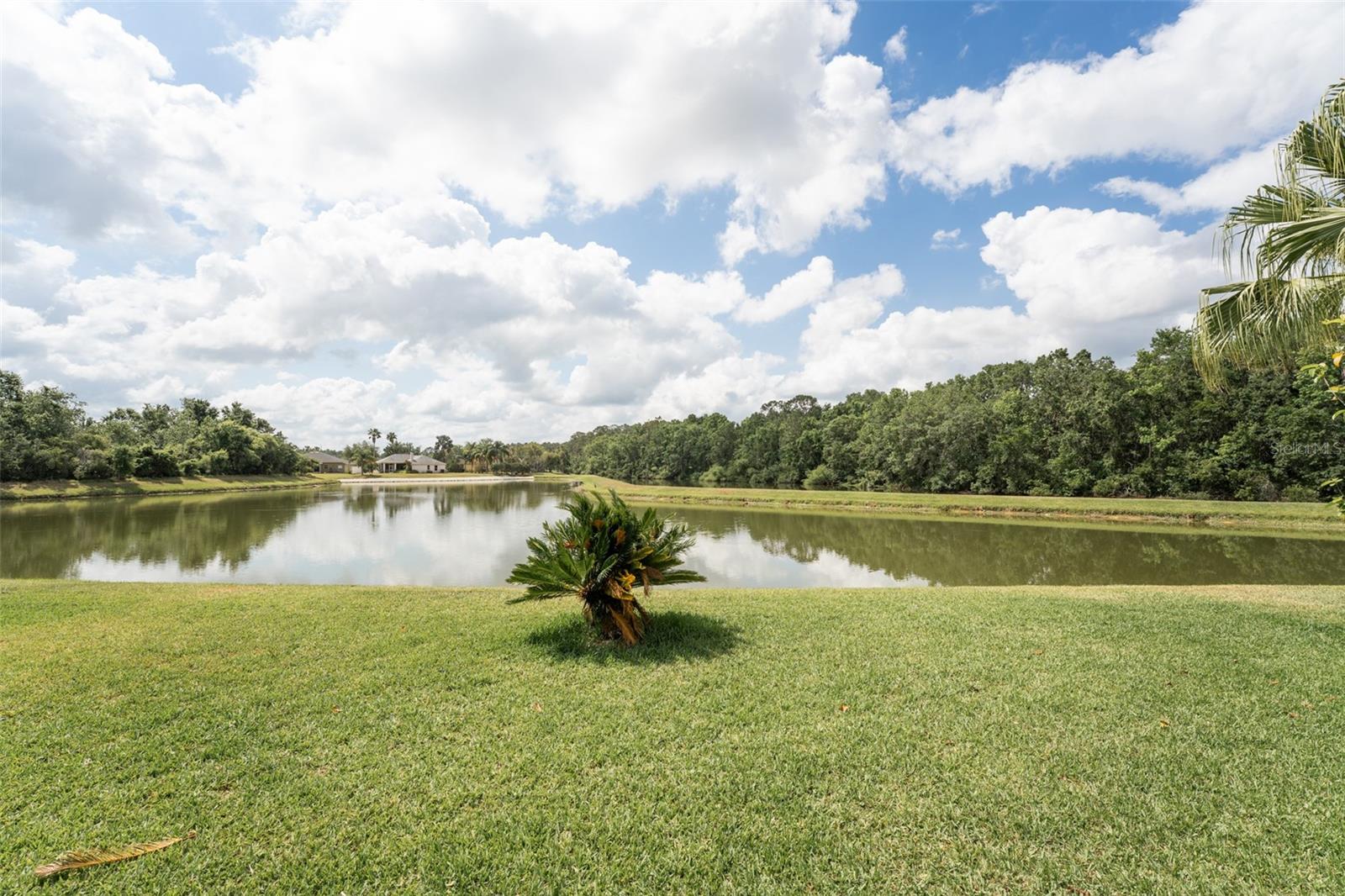Image 36 of 52 For 29542 Forest Glen Drive