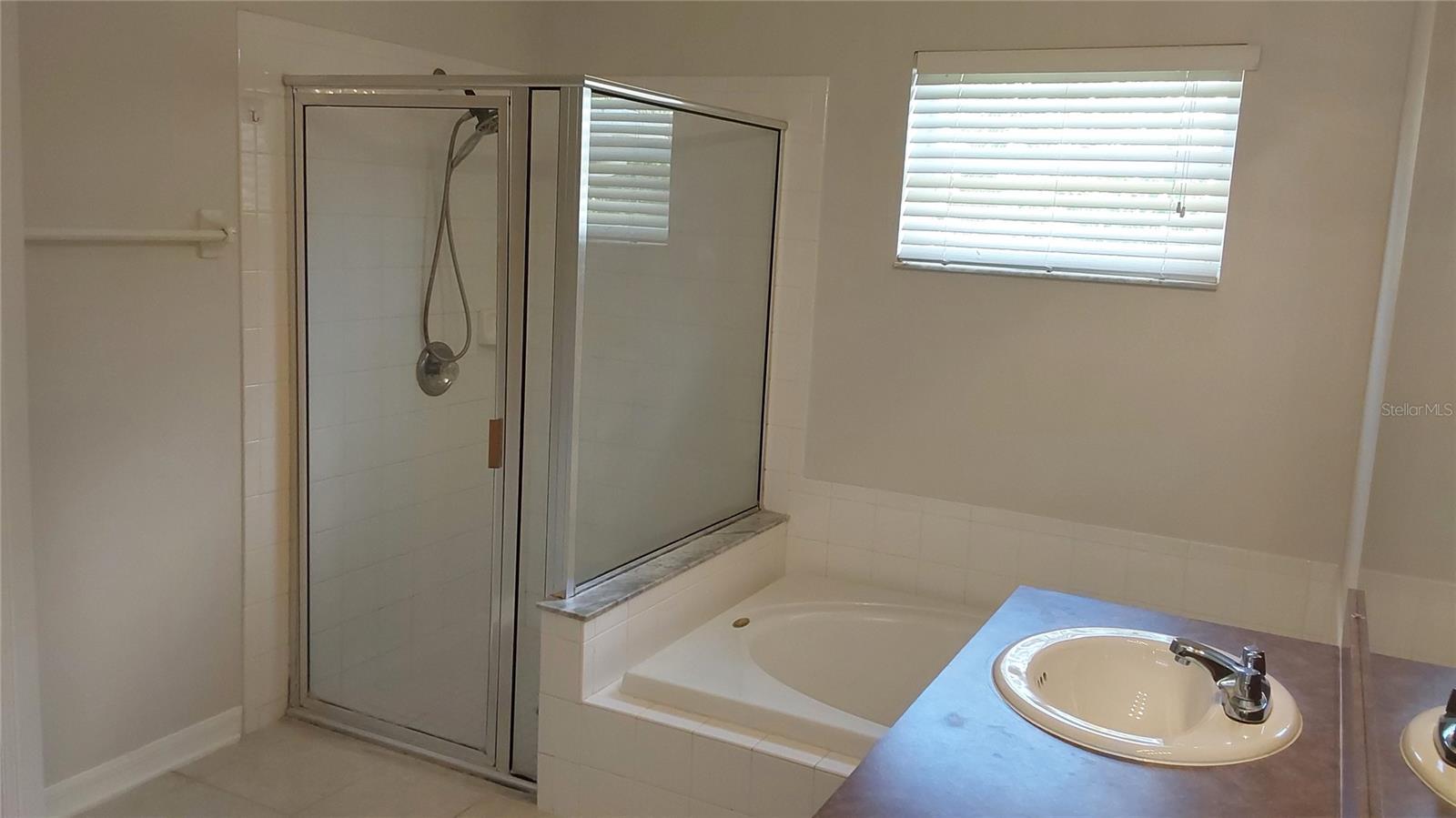 Image 19 of 31 For 31321 Wrencrest Drive