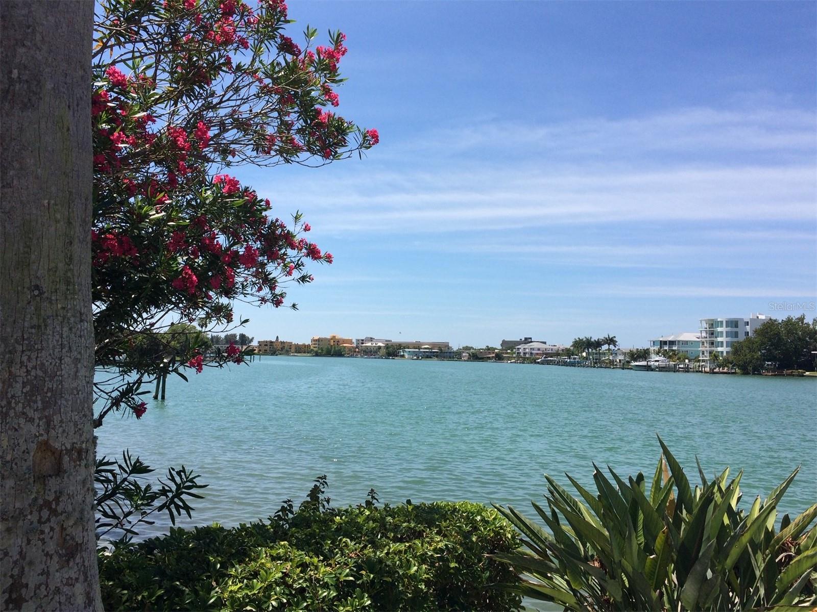 Image 44 of 49 For 10355 Paradise Boulevard 413