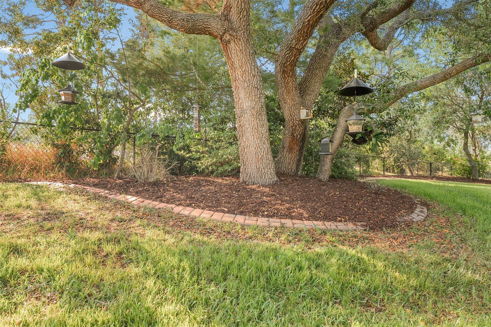 Listing photo id 97 for 10117 Breezy Pines Court