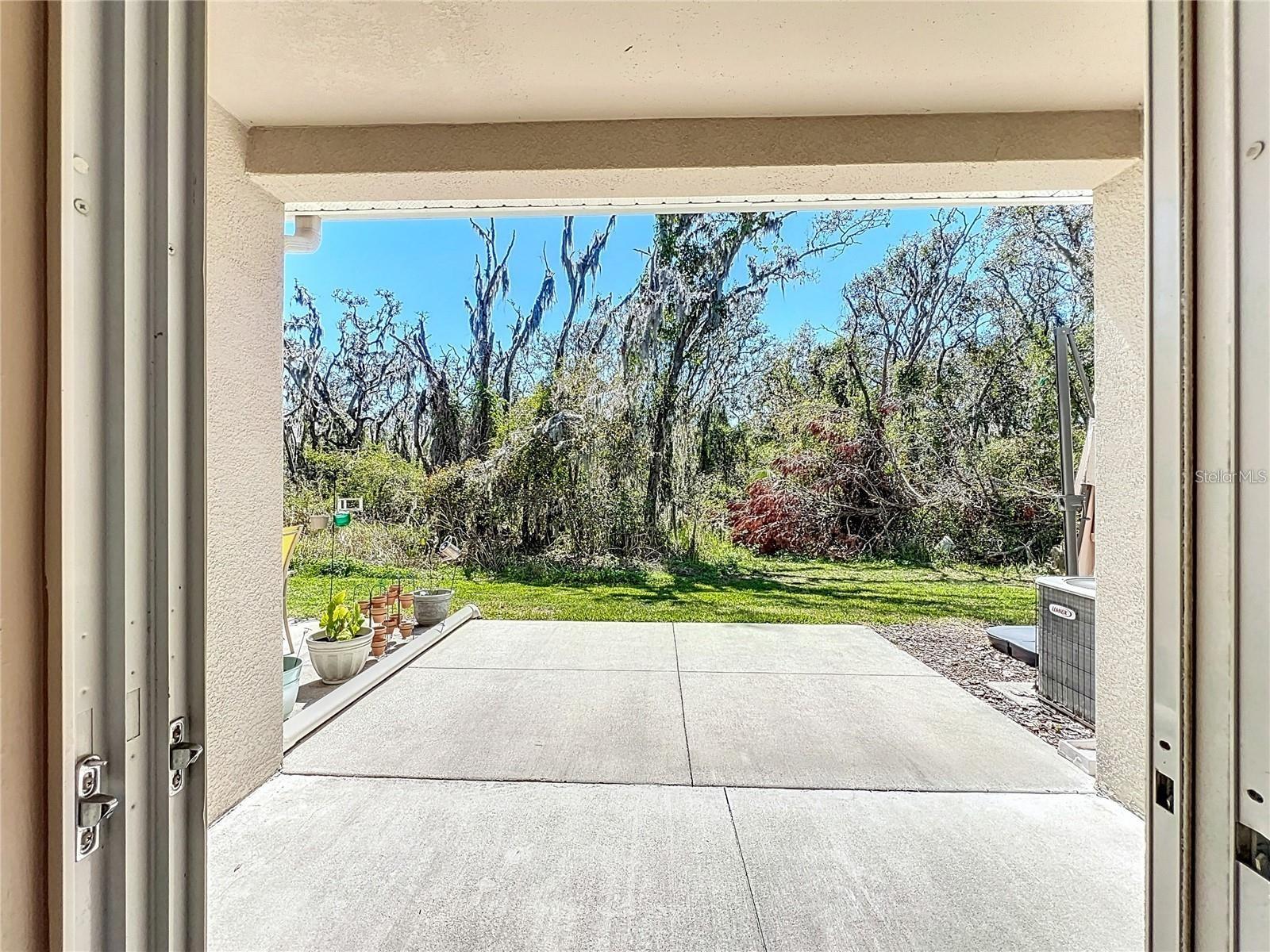 Image 12 of 22 For 15811 Fishhawk Falls Drive