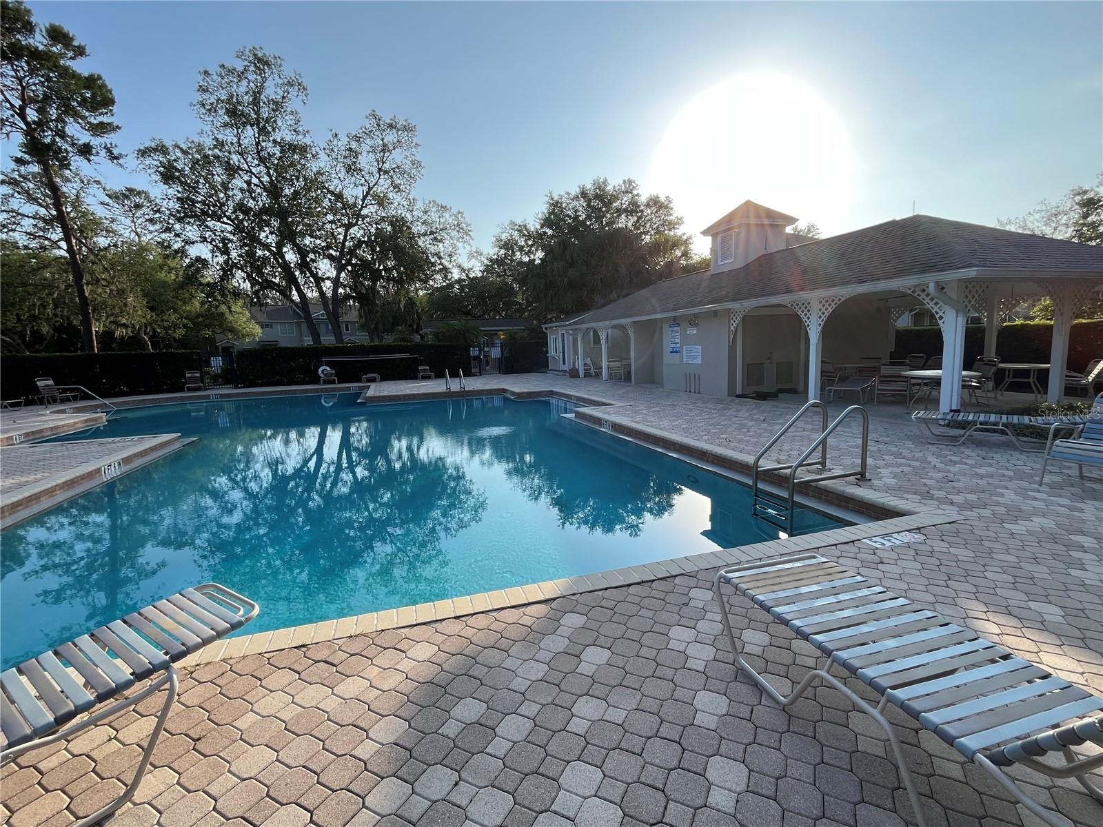 Image 17 of 22 For 15811 Fishhawk Falls Drive