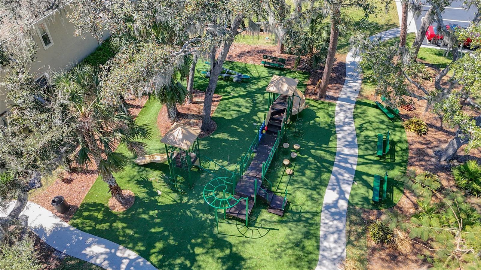 Image 18 of 22 For 15811 Fishhawk Falls Drive