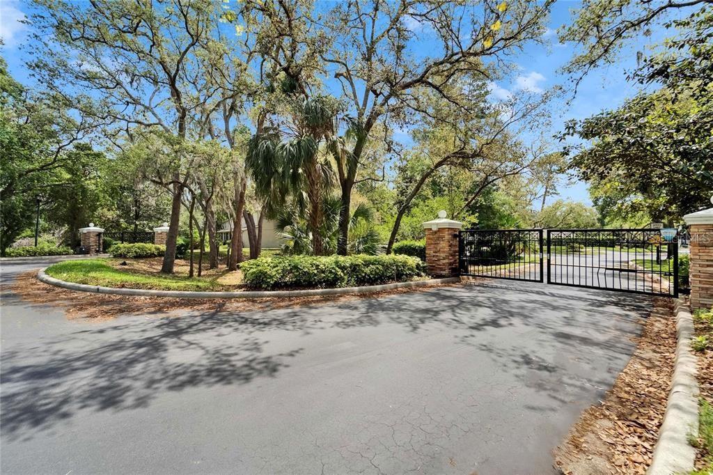 Image 22 of 22 For 15811 Fishhawk Falls Drive