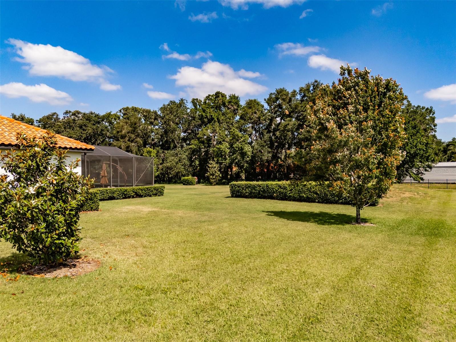 Image 69 of 79 For 304 Hawk Talon Drive