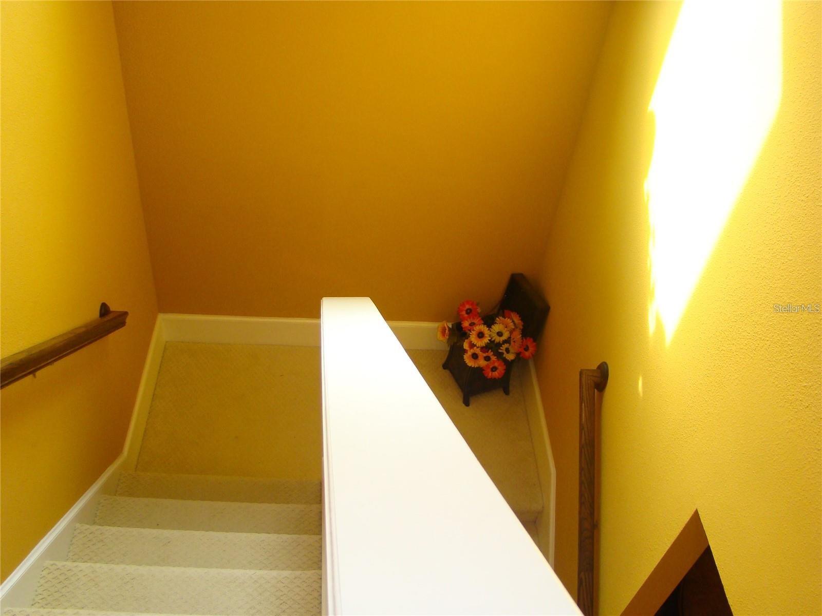 Image 11 of 19 For 11428 Quiet Forest Drive