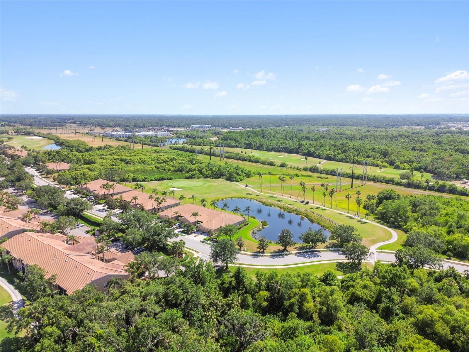 Image 44 of 47 For 1003 Fairwaycove Lane 103