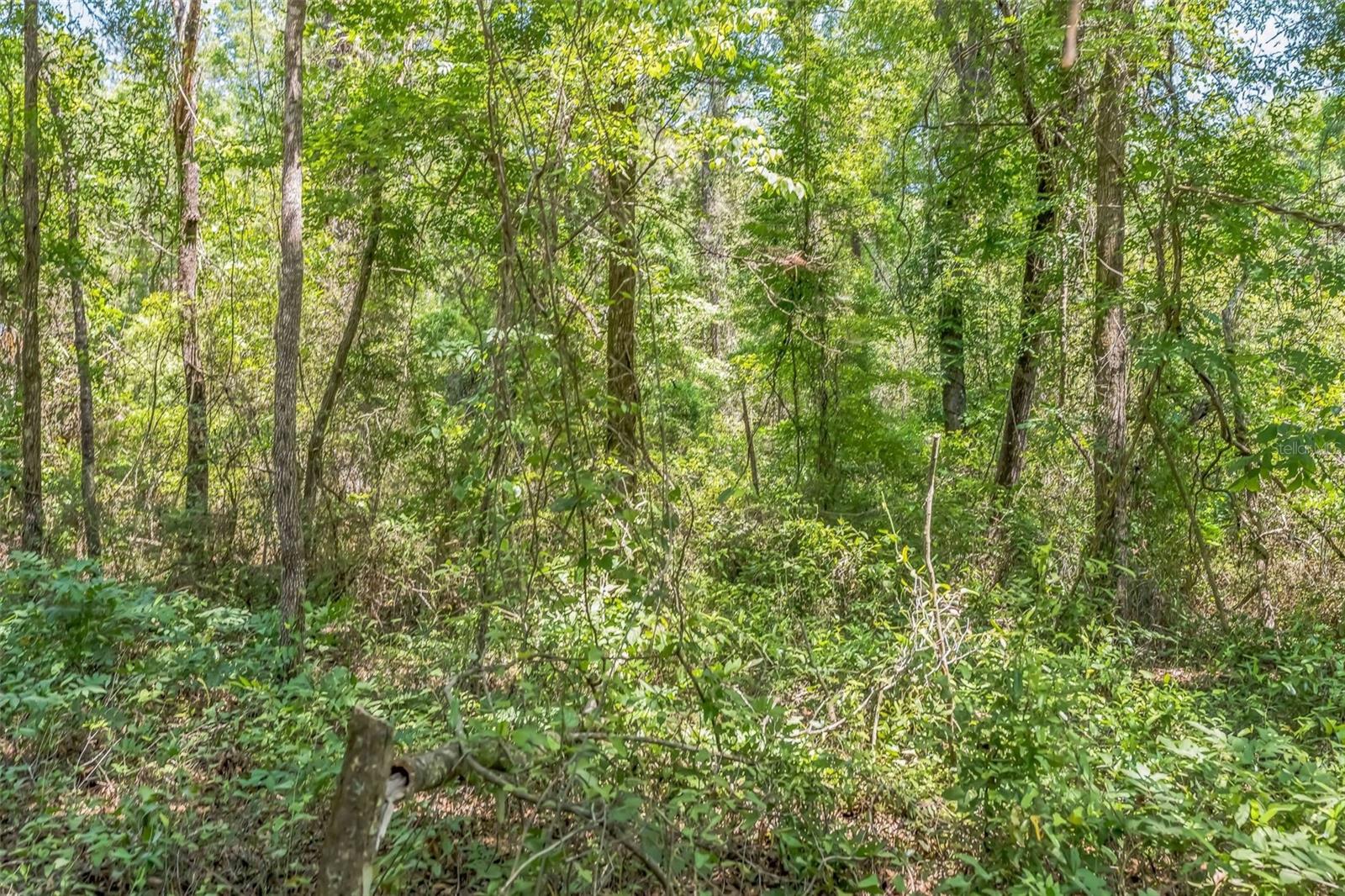 Image 26 of 26 For 526 Kings Creek Circle