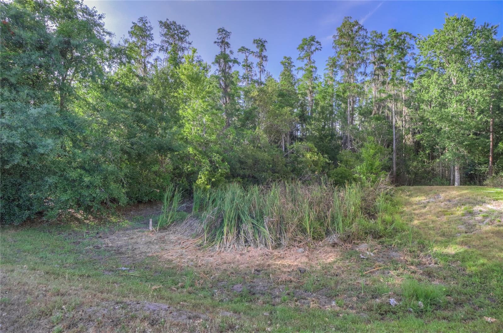 Image 66 of 71 For 8531 Trail Wind Drive