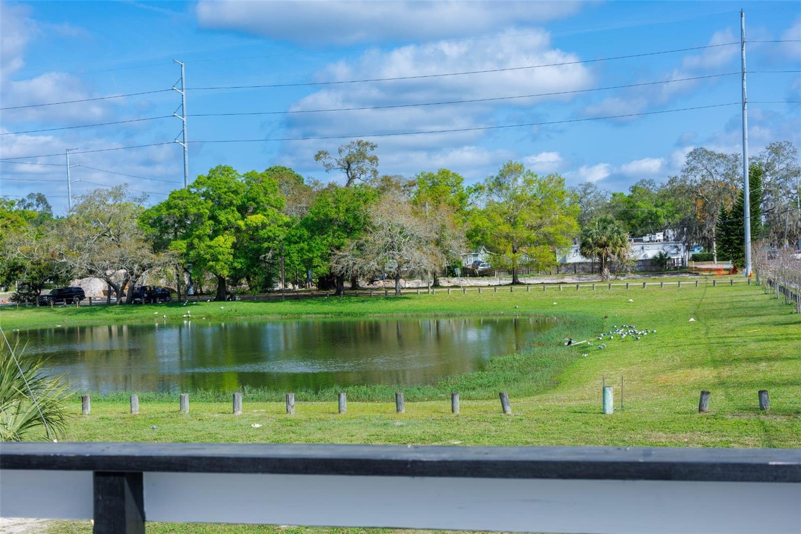 Listing photo id 24 for 9706 22nd Street