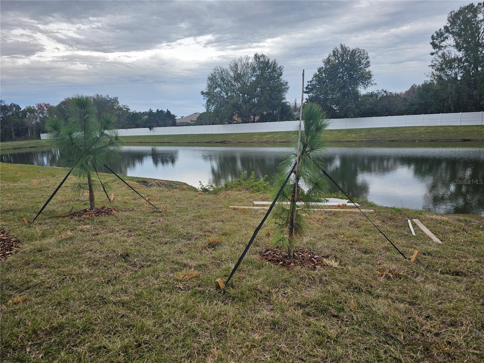 Image 36 of 49 For 5958 Shiner Street