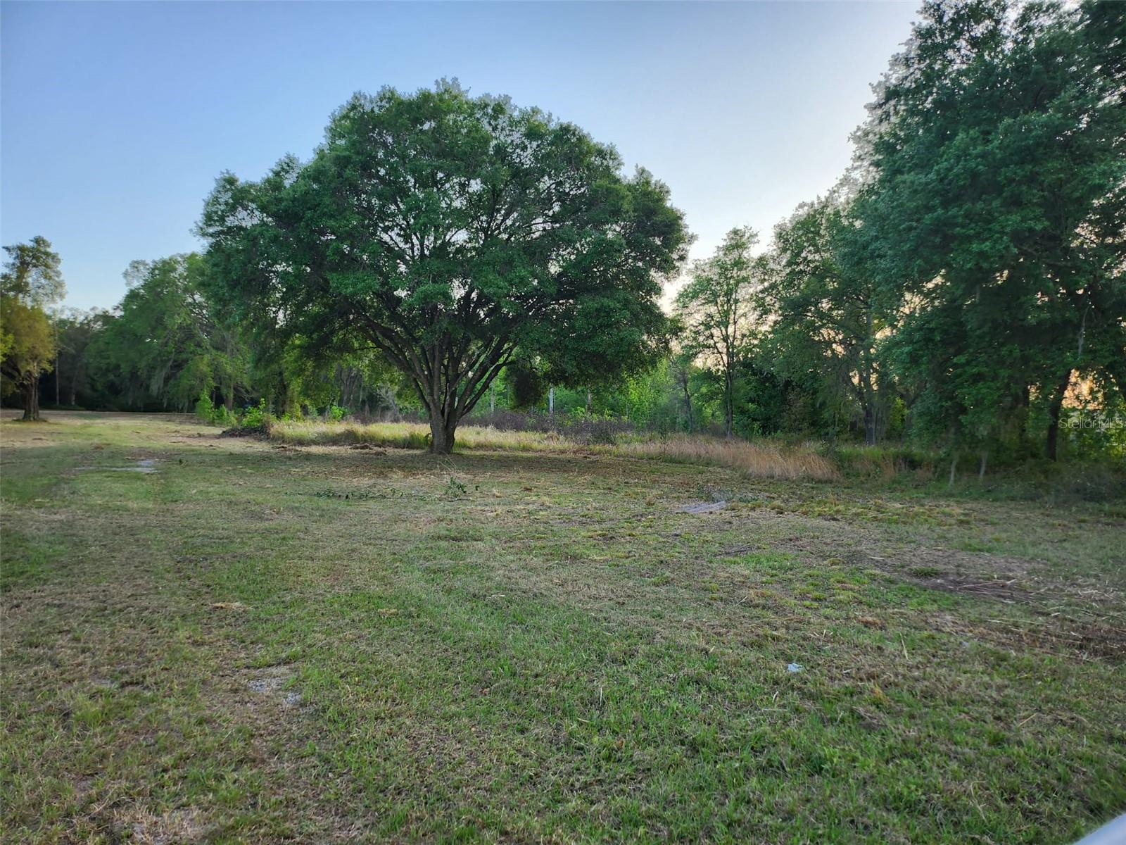 Image 6 of 30 For 44150 County Road 54 E