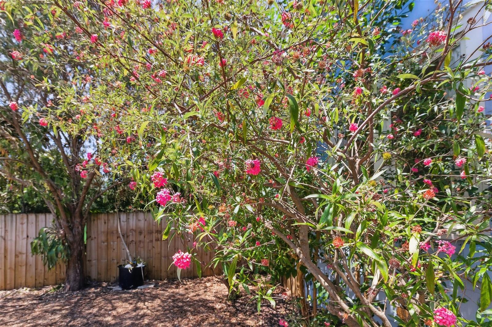 Image 35 of 35 For 2710 8th Avenue N