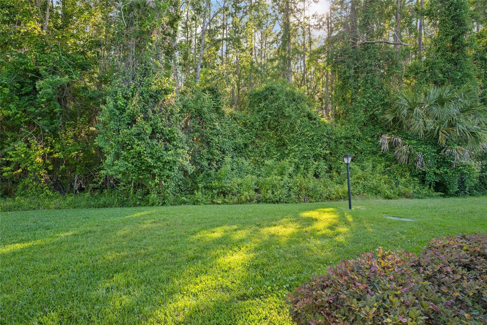 Image 28 of 28 For 1300 Shady Pine Way  B