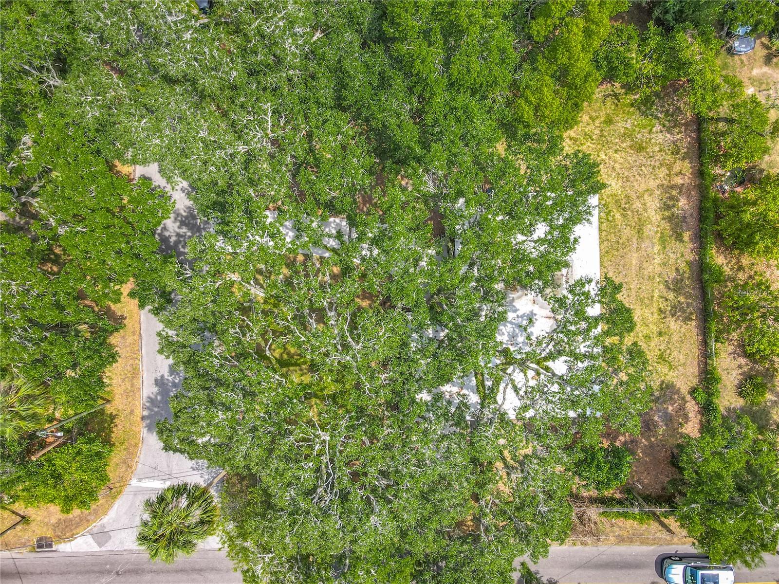 Listing photo id 52 for 6901 19th Street
