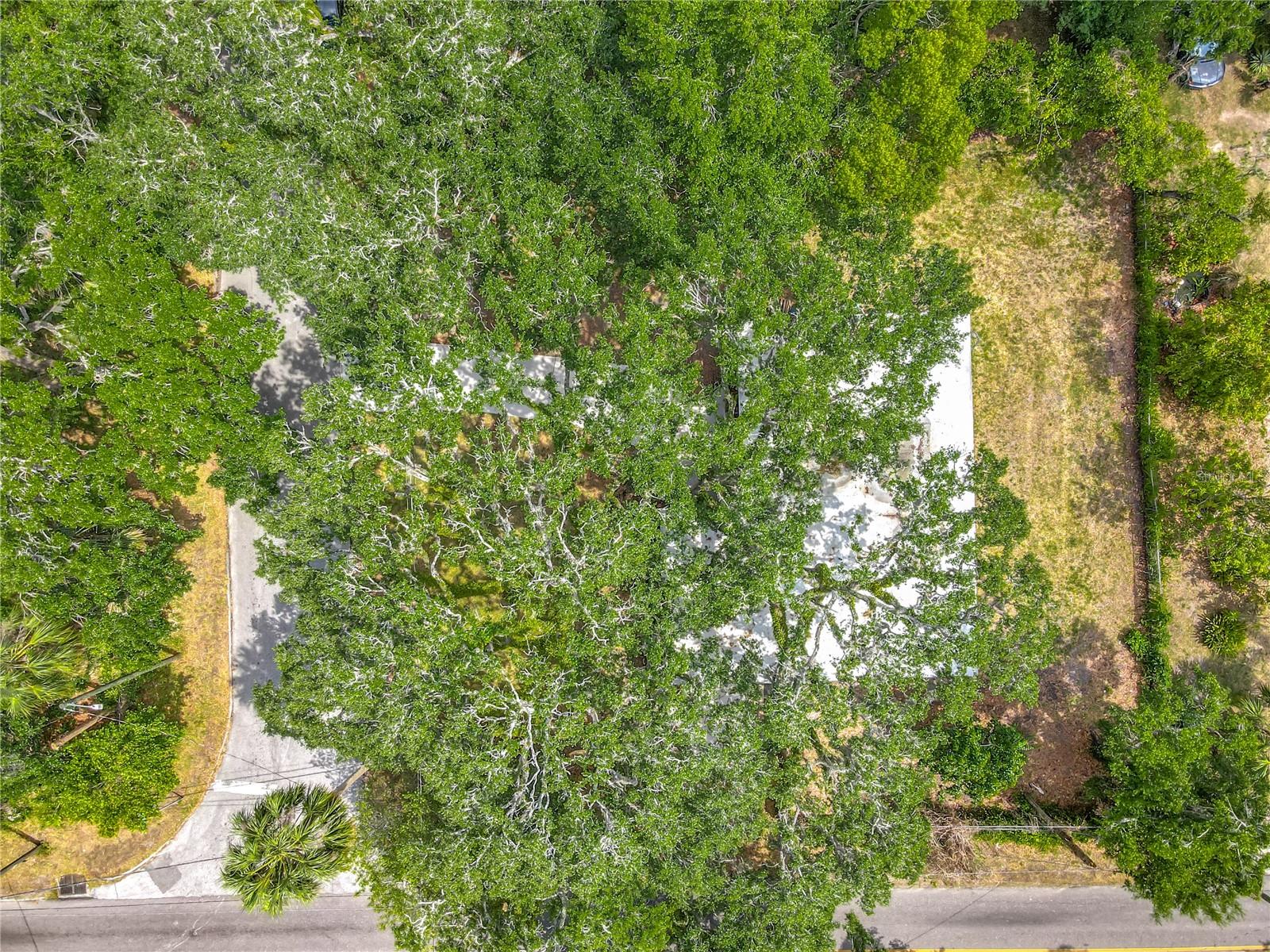 Listing photo id 53 for 6901 19th Street